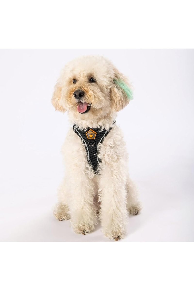 Pawstar Siyah Air-mesh Göğüs Tasması Kedi Köpek Göğüs Tasması Siyah 3XS