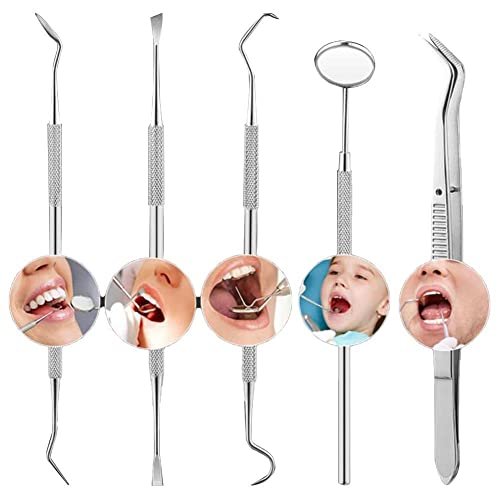 Valkyrie 6 adet Metal Kutulu Paslanmaz Çelik Diş Tartar Dil Temizleme Dental Ağız Bakım Seti