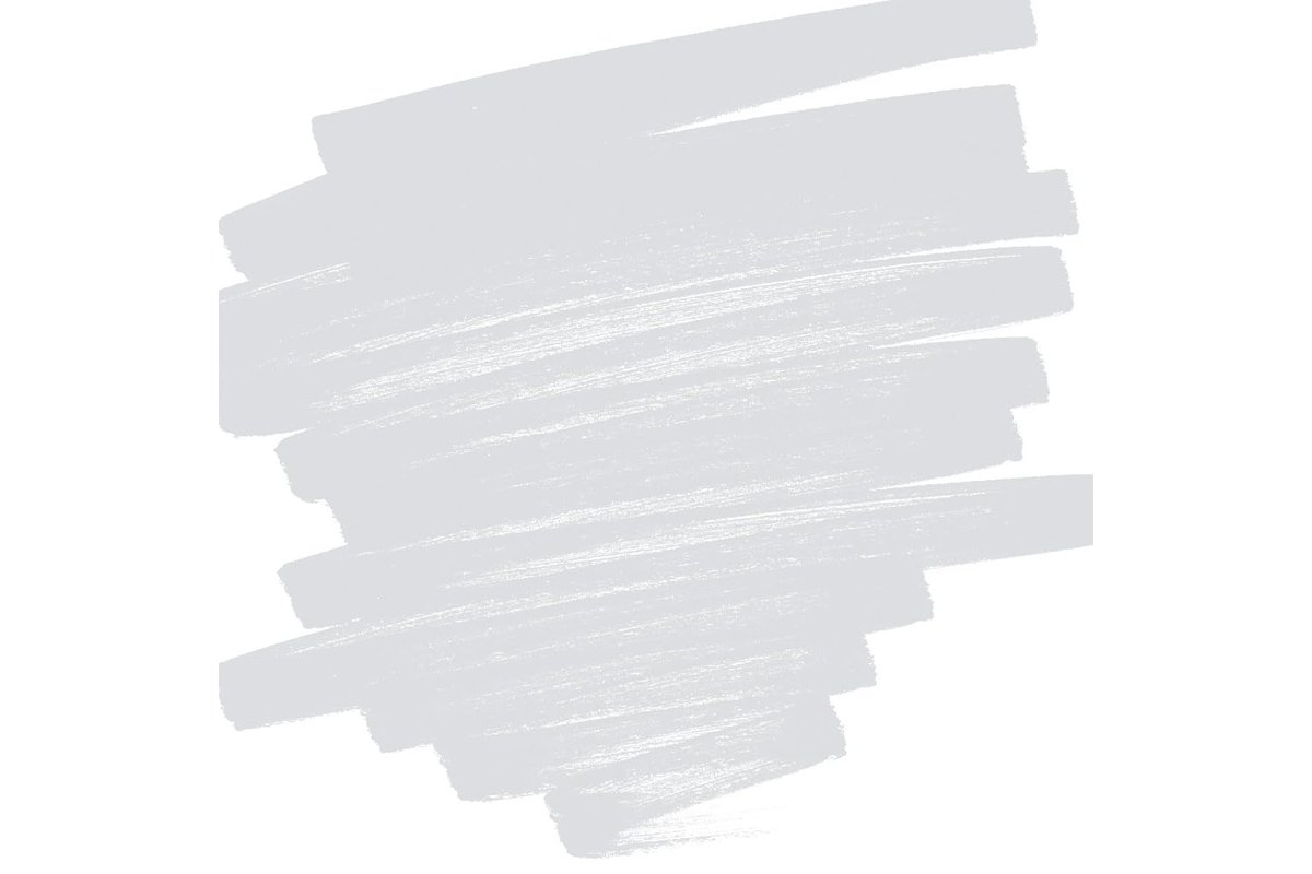 Pilot Pintor EF, Gümüş