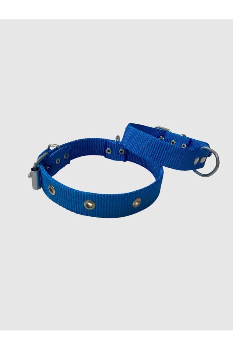 Küçük Boy Yavru Köpekler İçin Tasma Mavi 40"