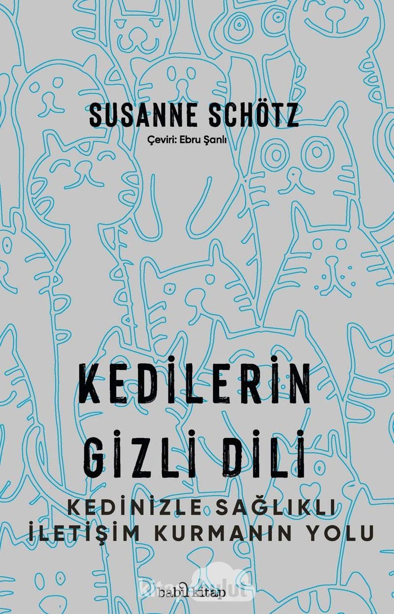 Kedilerin Gizli Dili: Kedinizle Sağlıklı İletişim Kurmanın Yolu