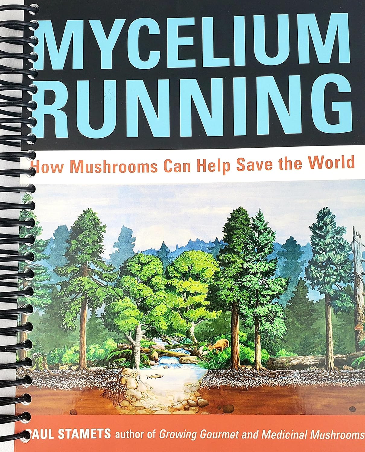 Mycelium Running: How Mushrooms Can Help Save the World