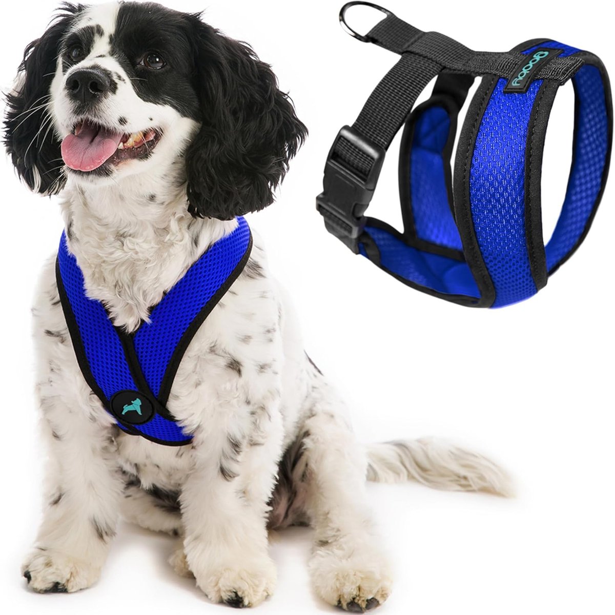 Gooby - Comfort X Kafa Takımı, boğulmaz, küçük köpek tasması, mikro süet süslemeli ve patentli X çerçeveli, mavi, beden M
