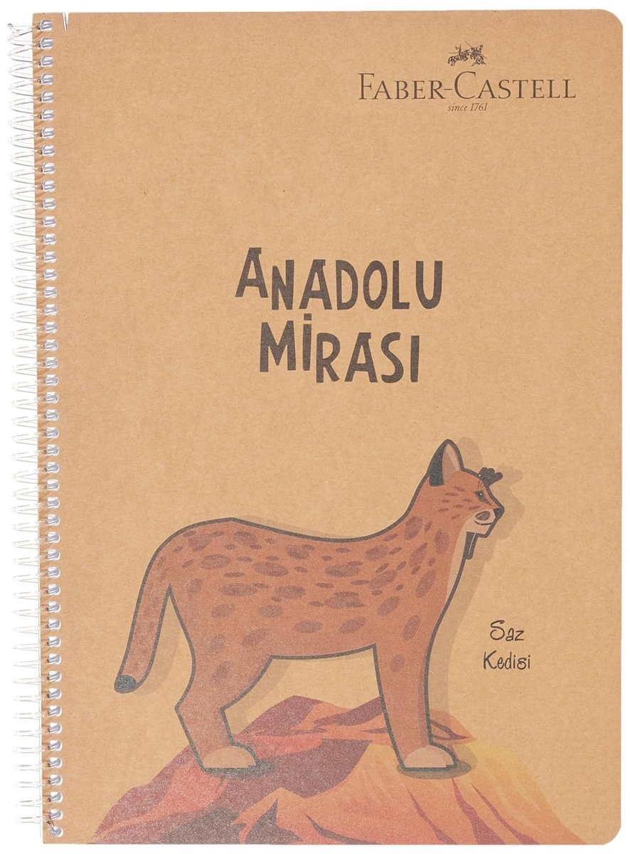 Faber-Castell Anadolu Mirası Spiralli Defter, A4, 100 Yaprak, 70g Kağıt, Çizgili, 500 Mikron PP Kapak, PET Spiralli, Asorti Renkler, Dayanıklı ve Ergonomik Kullanım