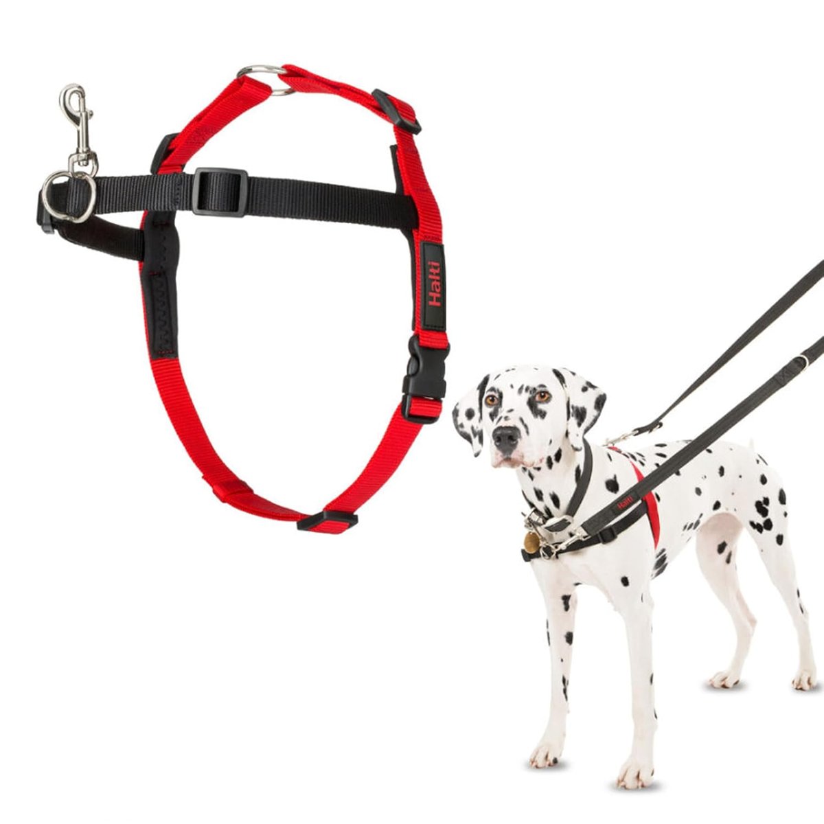 Company of Animals Halti Köpekler için Önden Kontrollü Göğüs Tasması, Orta Boy