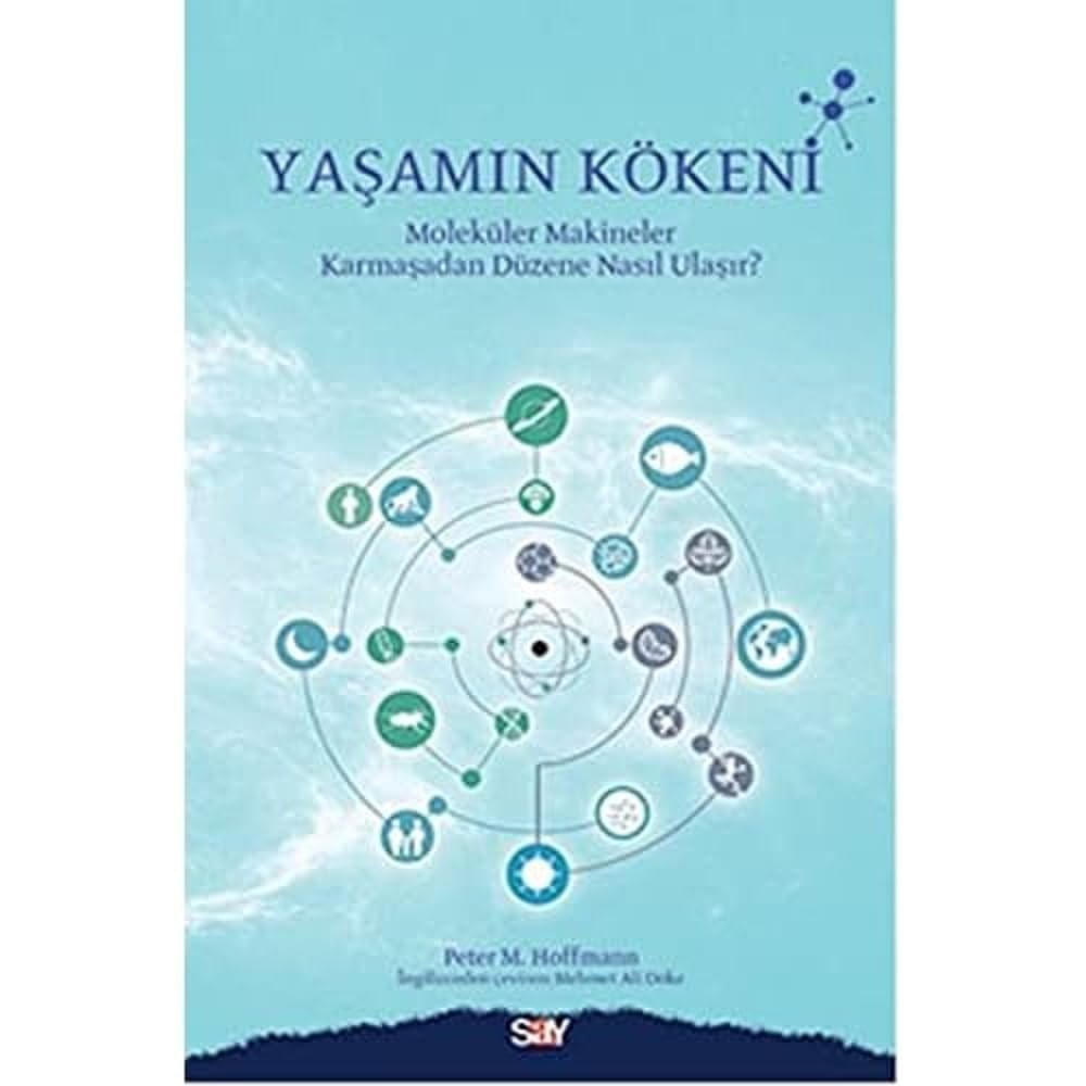Yaşamın Kökeni: Molekül Makineler Karmaşadan Düzene Nasıl Ulaşır?