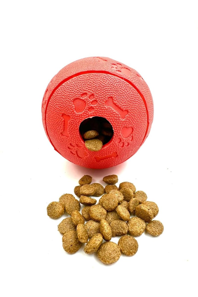 Ödül Maması Saklama Hazneli Dayanıklı Sağlam Köpek Oyun Topu XL