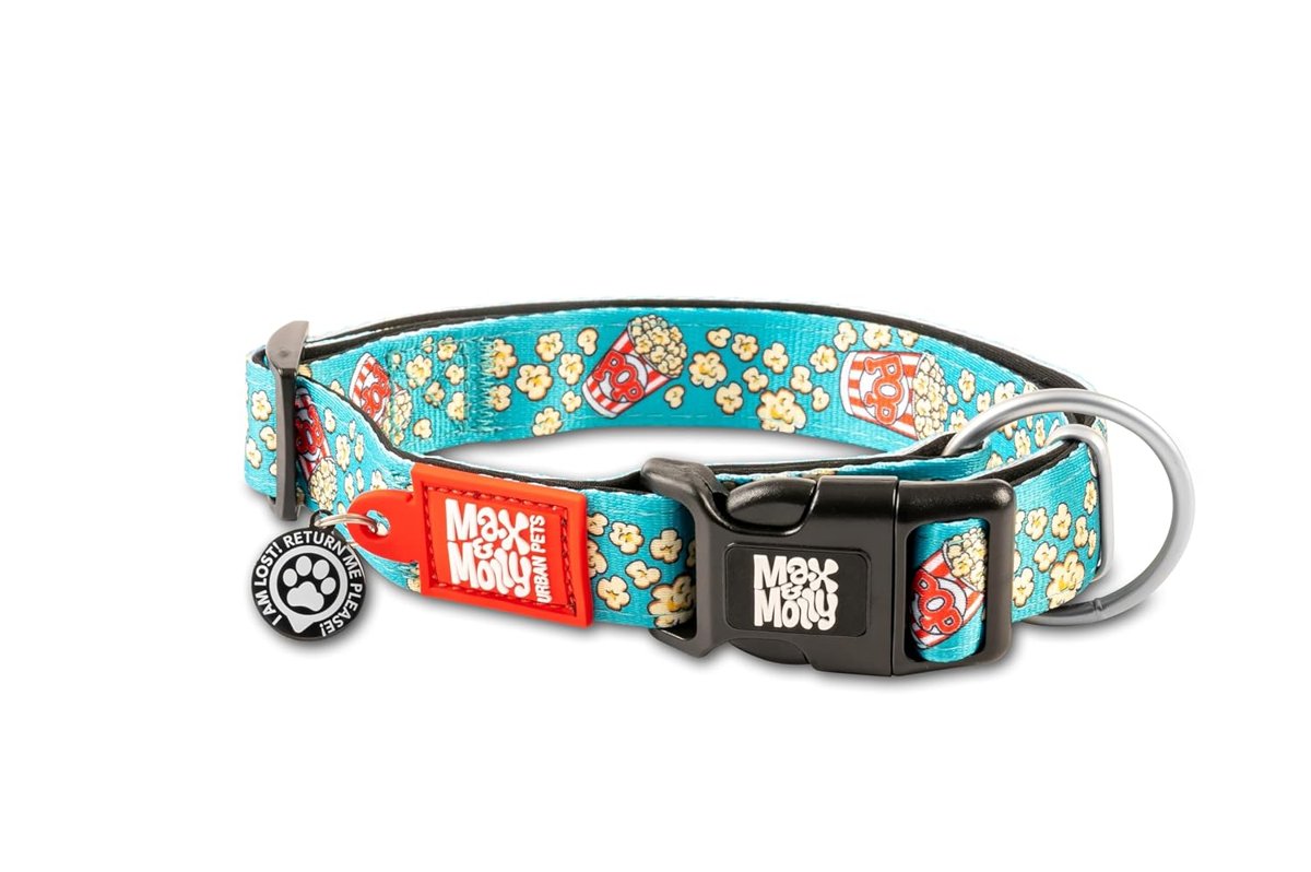 Max & Molly Popcorn Smart ID Köpek Boyun Tasması