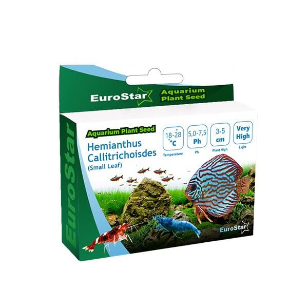Eurostar Hemianthus Callitrichoides Akvaryum Bitkisi Tohumu