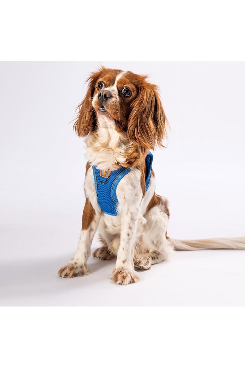 Pawstar Mavi Air-mesh Göğüs Tasması Kedi Köpek Göğüs Tasması Mavi XL