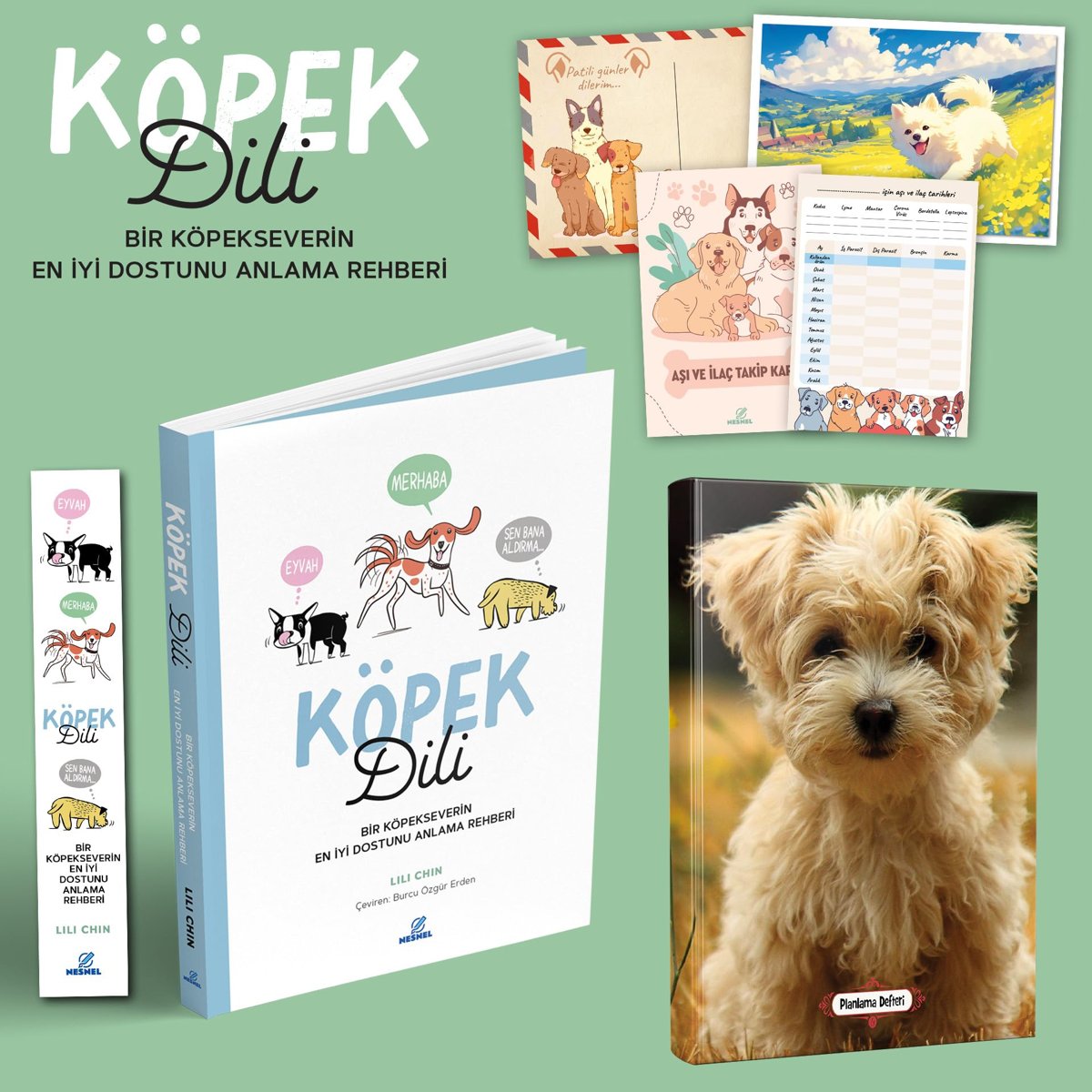 Köpek Dili - Bir Köpekseverin En İyi Dostunu Anlama Rehberi - Kartpostal - Ayraç - Aşı Kartı ve Neşeli Yüz Planlama Defteri
