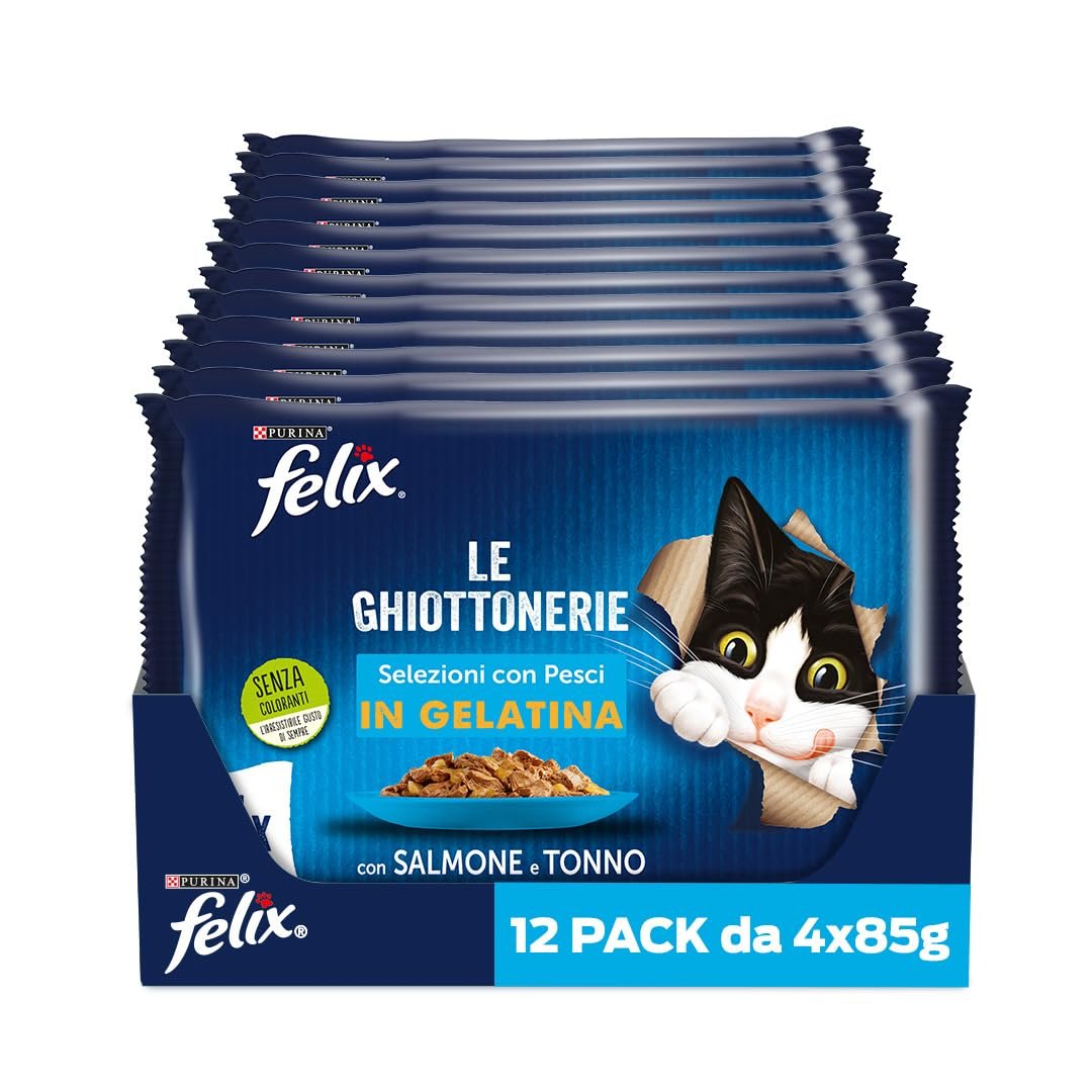 Felix Somonlu Kedi Yaş Maması Avantajlı Paket (48 x 85 gr)