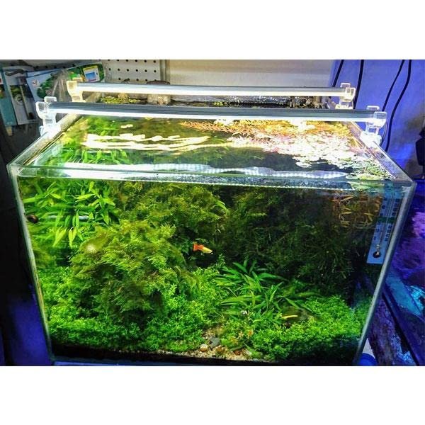 OrionLed Akvaryum Plastik LED Aydınlatma Beyaz 30cm 6500K
