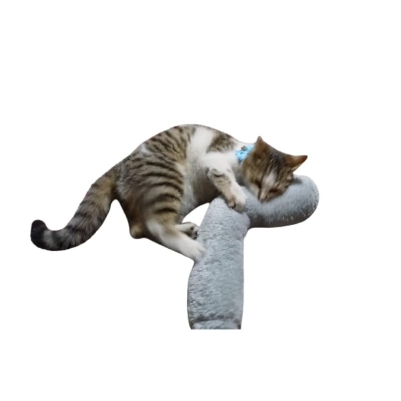Tineke Kedi Oyuncağı Sarılma Yastığı Uyku Oyuncağı Kedi Otlu 30 Cm Peluş (1 Adet) (GRİ)
