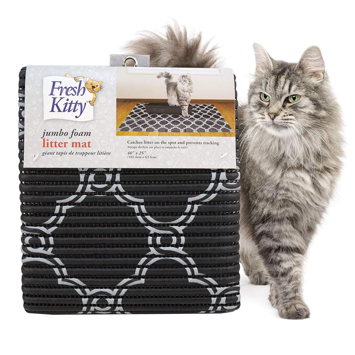 Fresh Kitty Kedi kumu