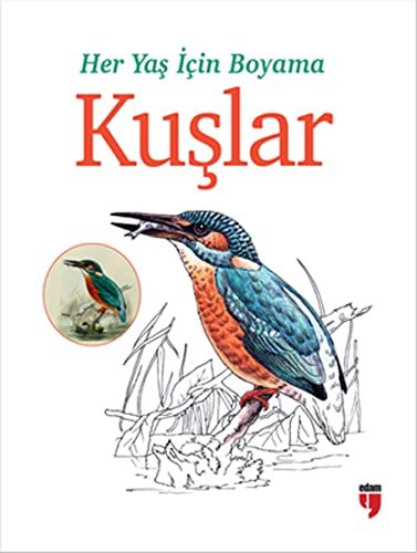 Her Yaş İçin Boyama-Kuşlar