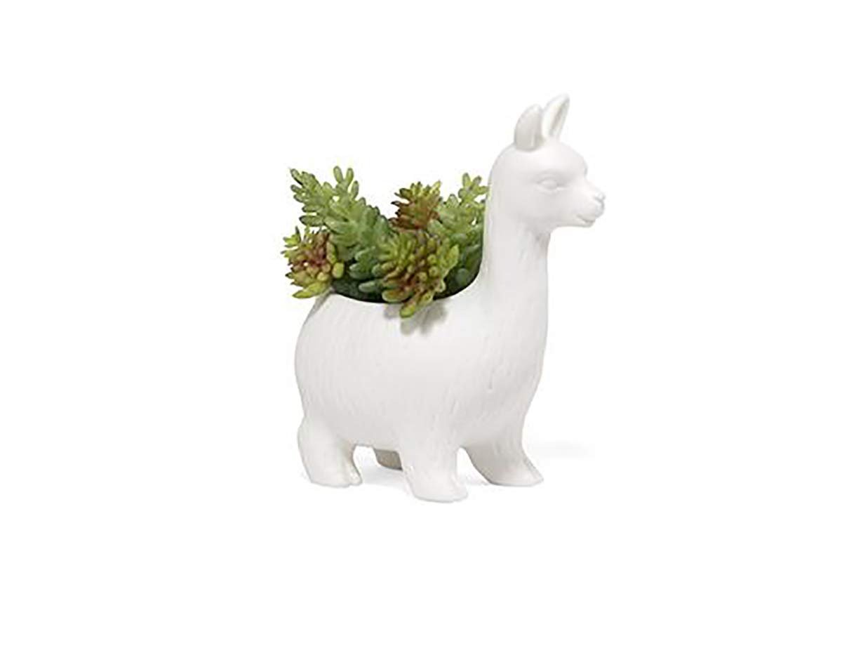 Kikkerland Vazo Lama