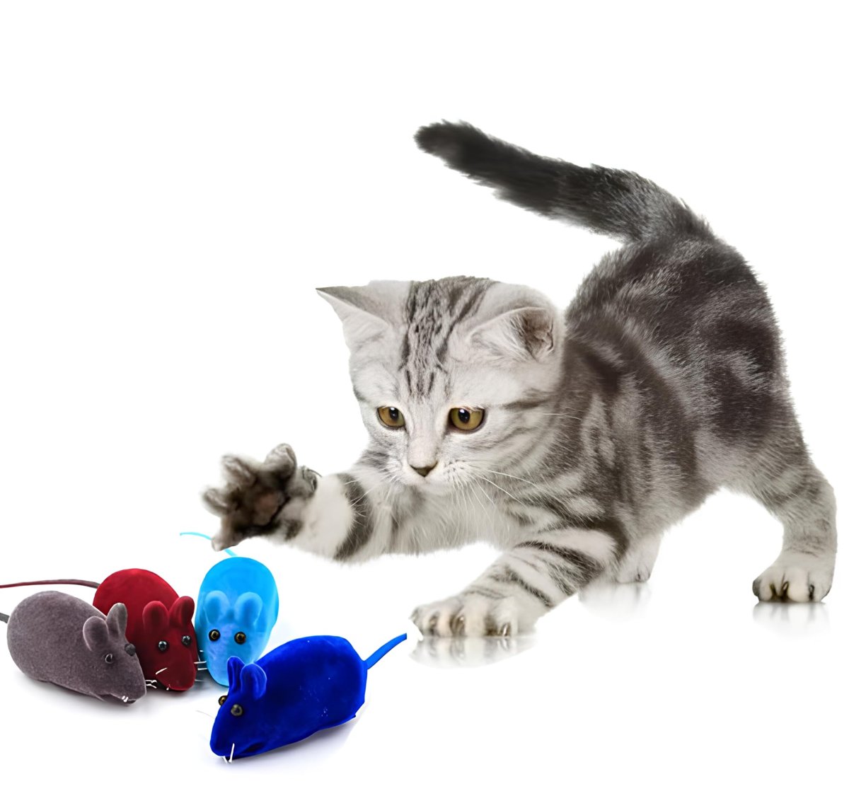 AEE® 4'lü Set Sesli Fare Kedi Oyuncağı Renkli ve Eğlenceli Kedi Av Oyuncakları