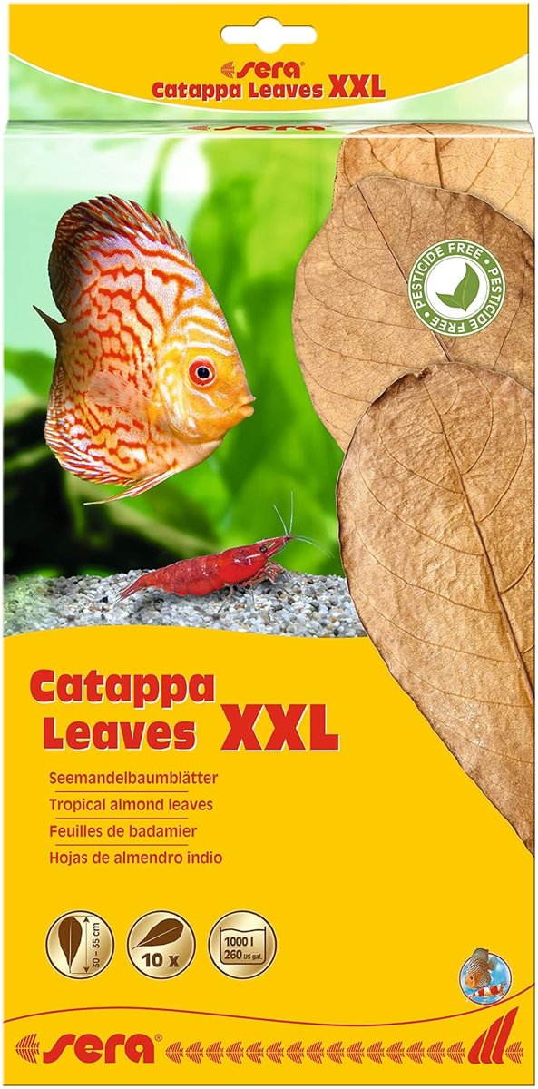Sera Catappa Yaprağı XXL 32 Cm