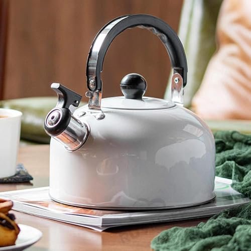 Valkyrie 3L Paslanmaz Çelik Düdüklü Kettle Su Isıtıcısı Çaydanlık Islıklı Demlik