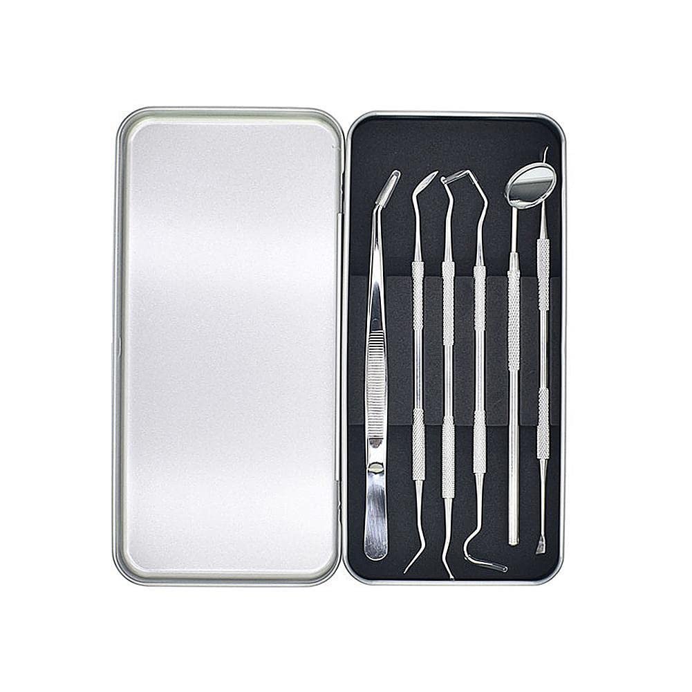 Valkyrie 6 adet Metal Kutulu Paslanmaz Çelik Diş Tartar Dil Temizleme Dental Ağız Bakım Seti