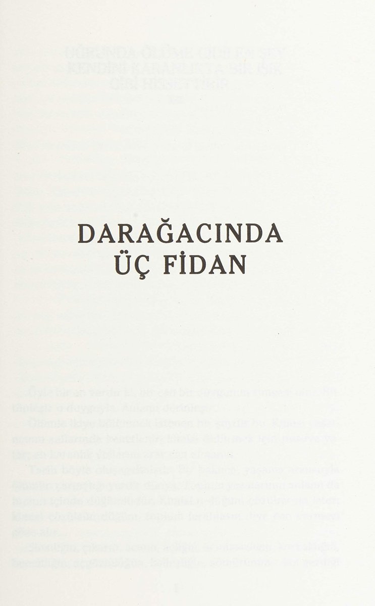 Darağacında Üç Fidan