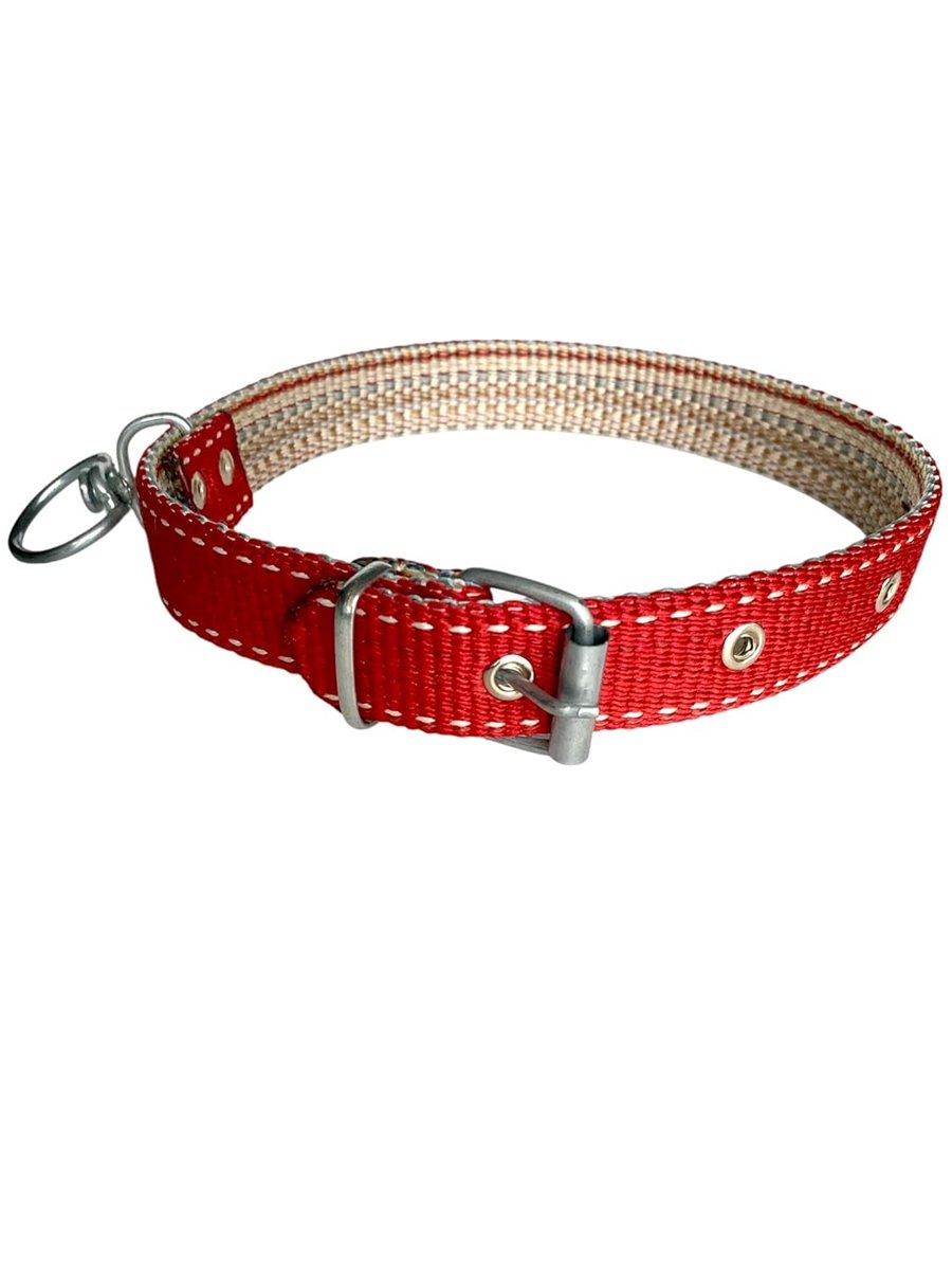 tasma atalier köpek boyun tasması (kırmızı)