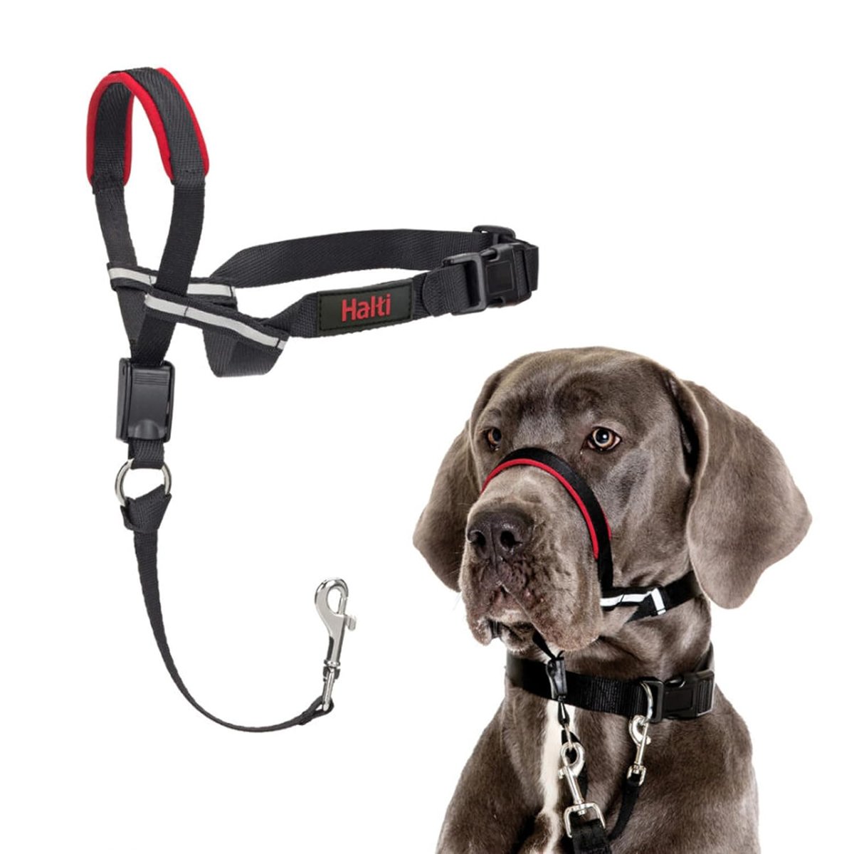 Company of Animals Halti Optifit Ağızlıklı Tasma, Büyük Boy Siyah