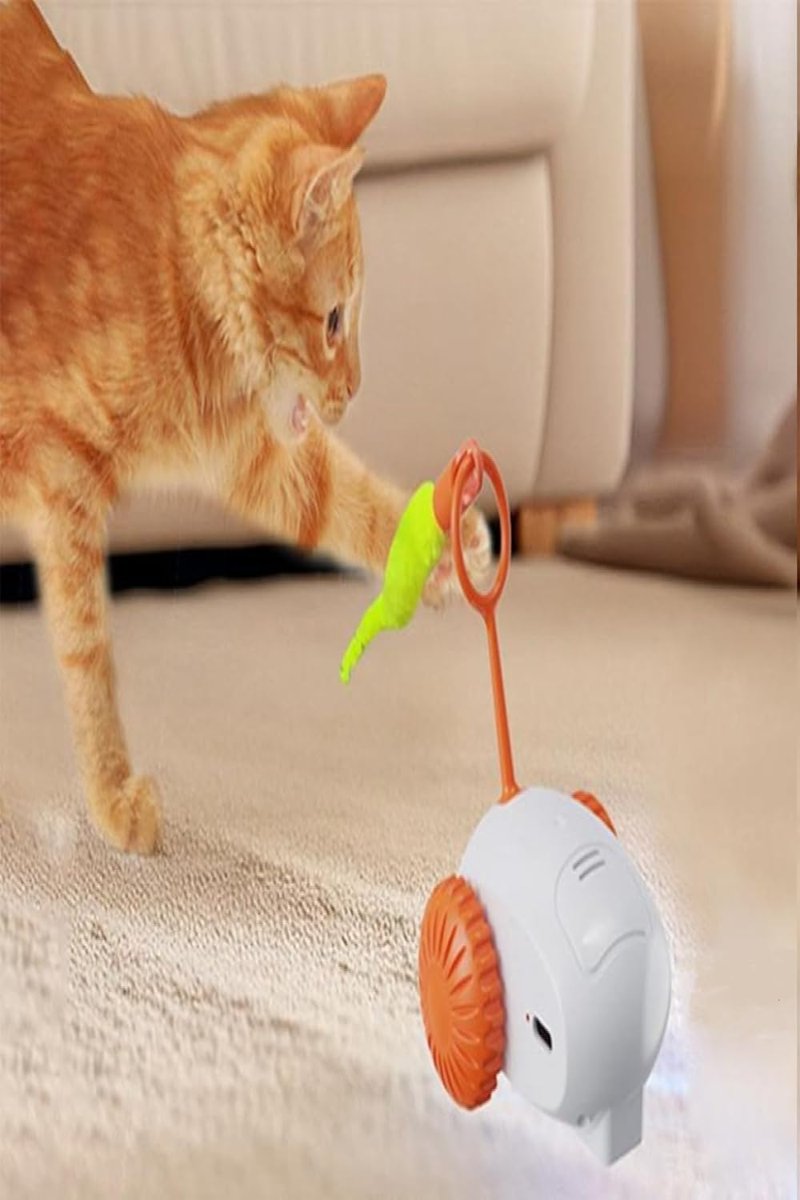 TİNEKE Hareketli Robot İnteraktif Kedi Oyuncağı Tüylü Araba