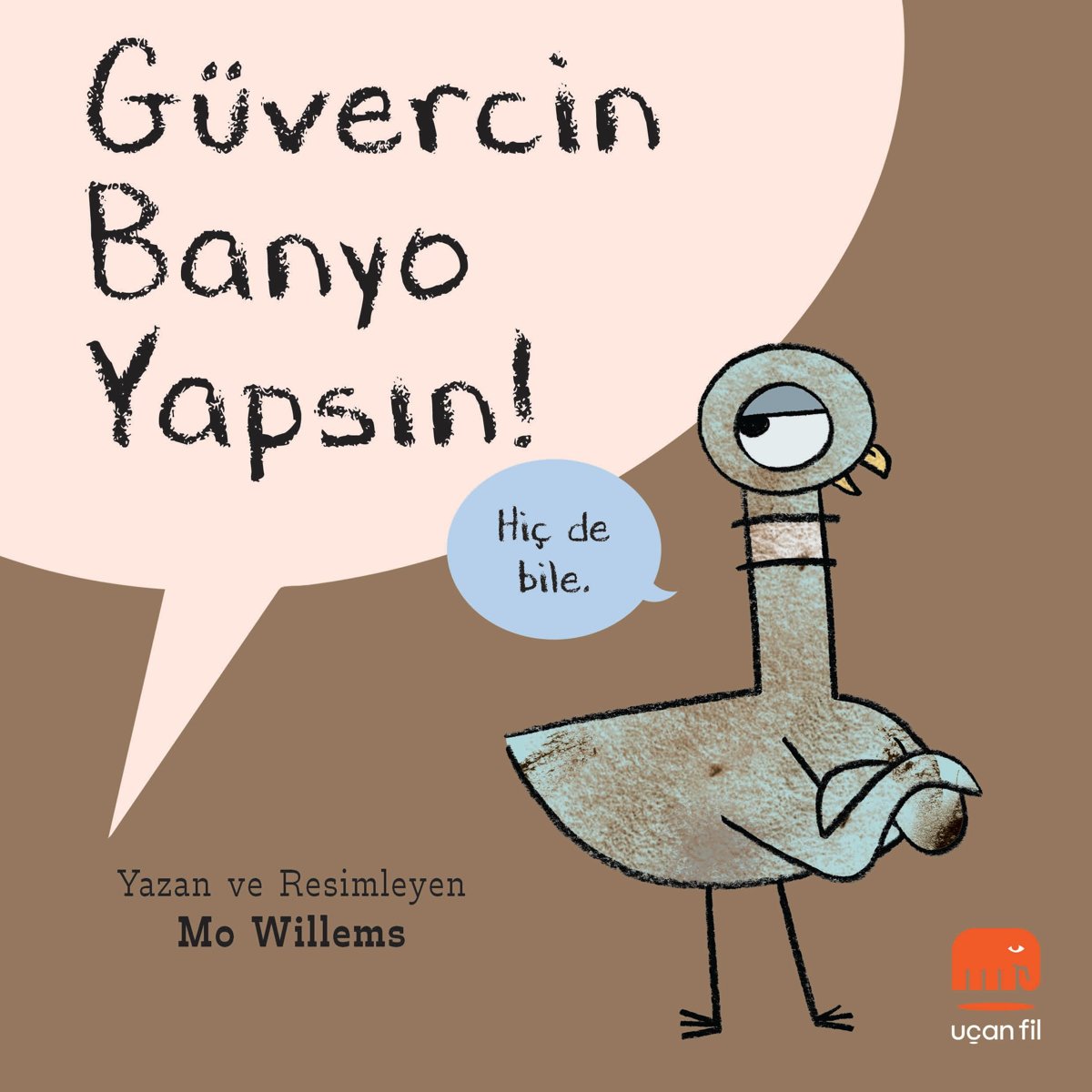 Güvercin Banyo Yapsın!