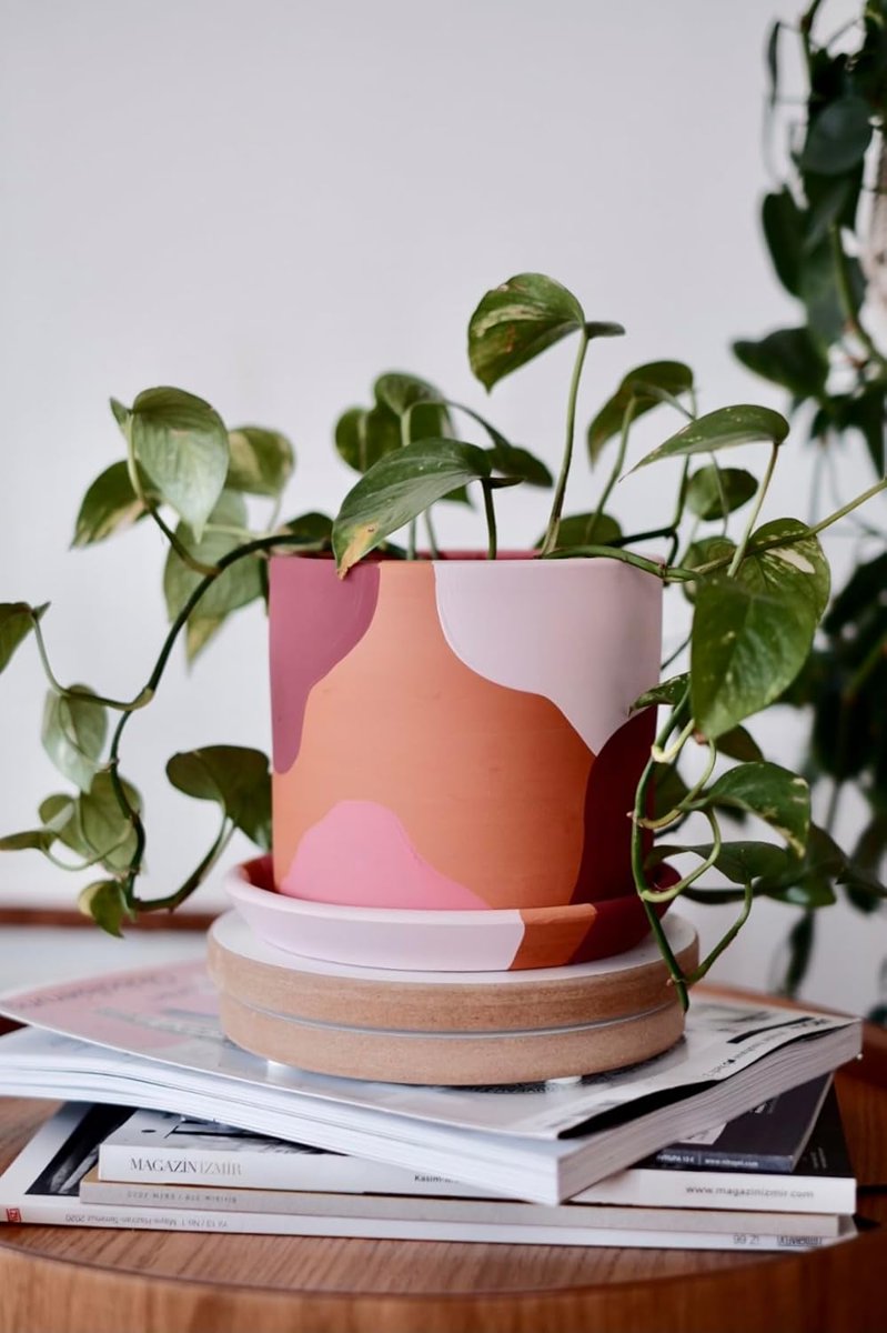 Terracotta Silindir Saksı+Tabak • Pembenin Tonları (Küçük)