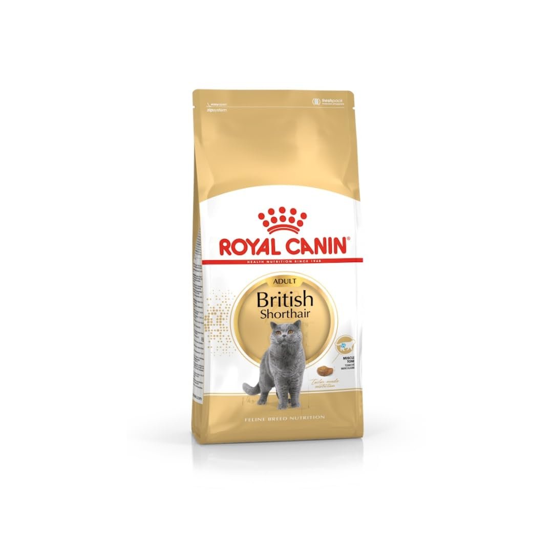 Royal Canin British Shorthair Adult Yetişkin Kedi Maması 4 Kg