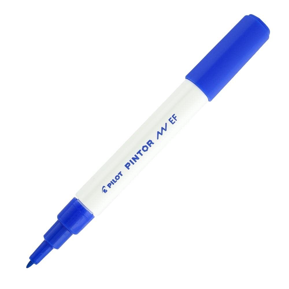 Pilot Pintor EF, Mavi