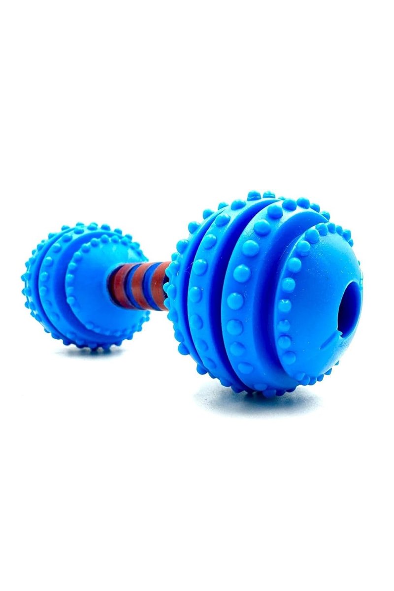 Tasma Market 12CM Halter Zilli Diş Kaşıma Tartar Temizleme Köpek Oyuncağı Mavi