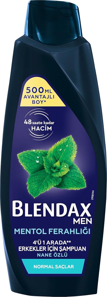 BLENDAX Erkekler için Mentol Ferahlığı Nane Özlü Şampuan, 500 ml