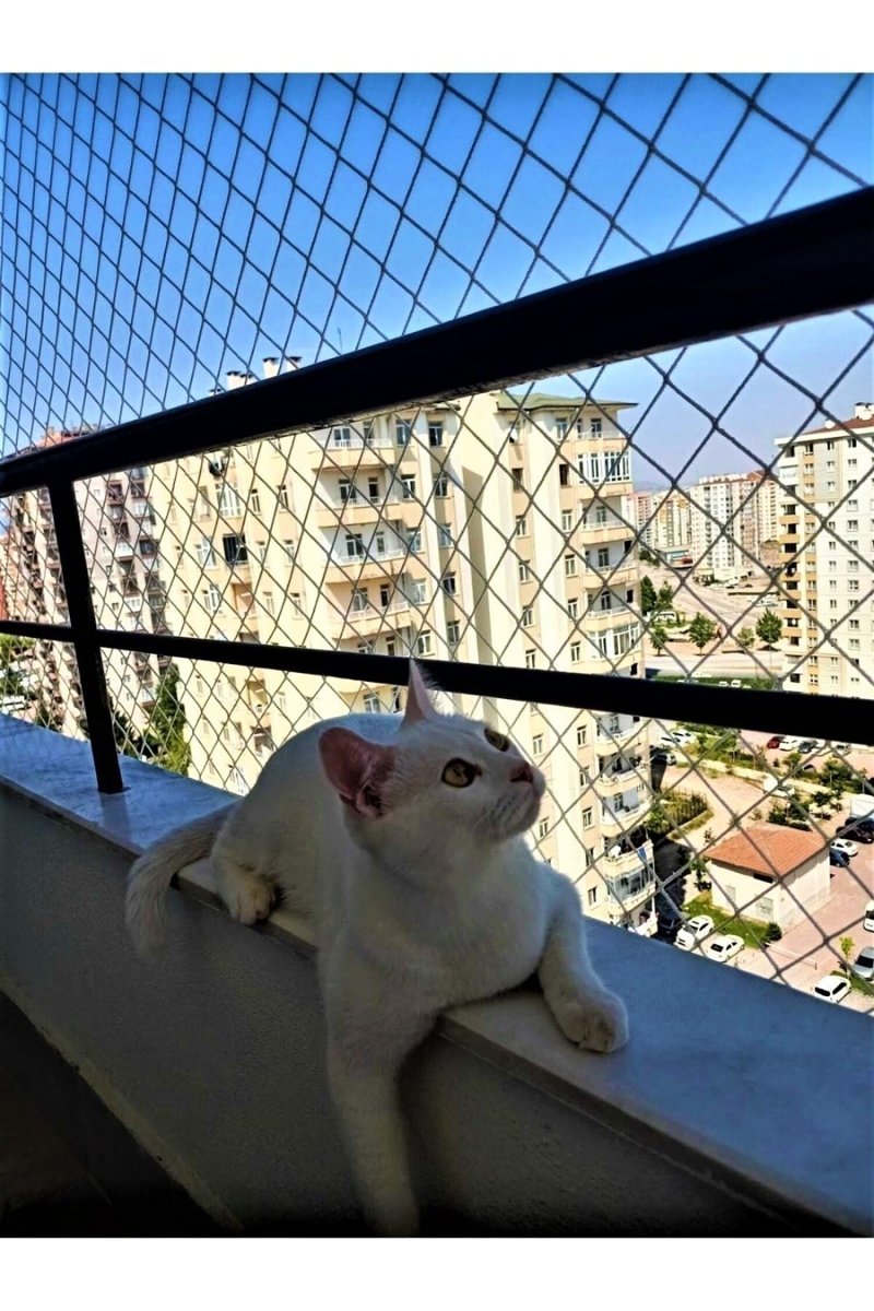 2 X 1 Metre Kedi Koruma Filesi Balkon Filesi 2 Mm Kedi Güvenlik Filesi Bebek Güvenlk Filesi -