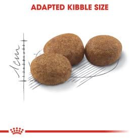 Royal Canin Sterilised 37 Kısırlaştırılmış Kedi Maması 4 Kg