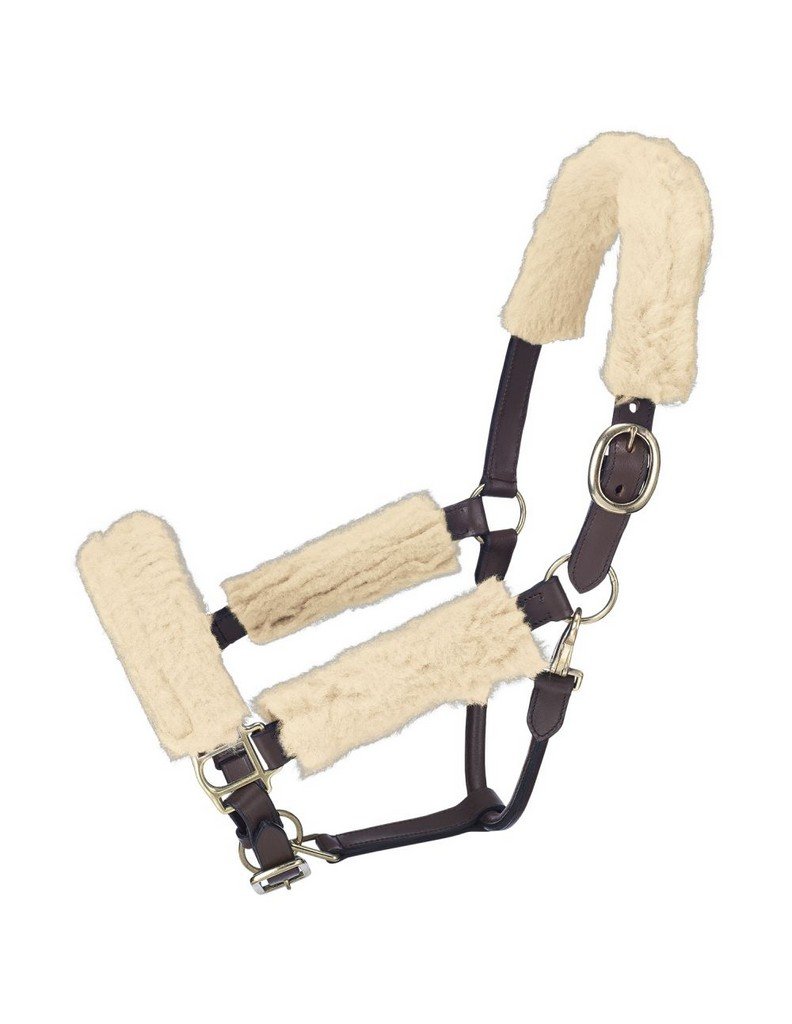 Tough 1 Yular polar set