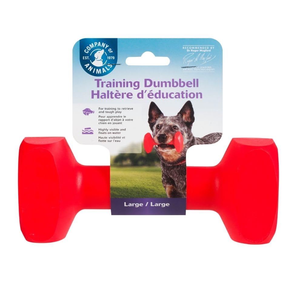 Company of Animals Köpekler için Eğitim Dambılı - En Iyi Köpek Eğitim Ekipmanı, Bulup Getirme Köpek Oyuncağı, Yüzer, Yüksek Görünürlük, Av Köpeği ve Yavru Köpek Eğitimi, Küçük (L Boy)