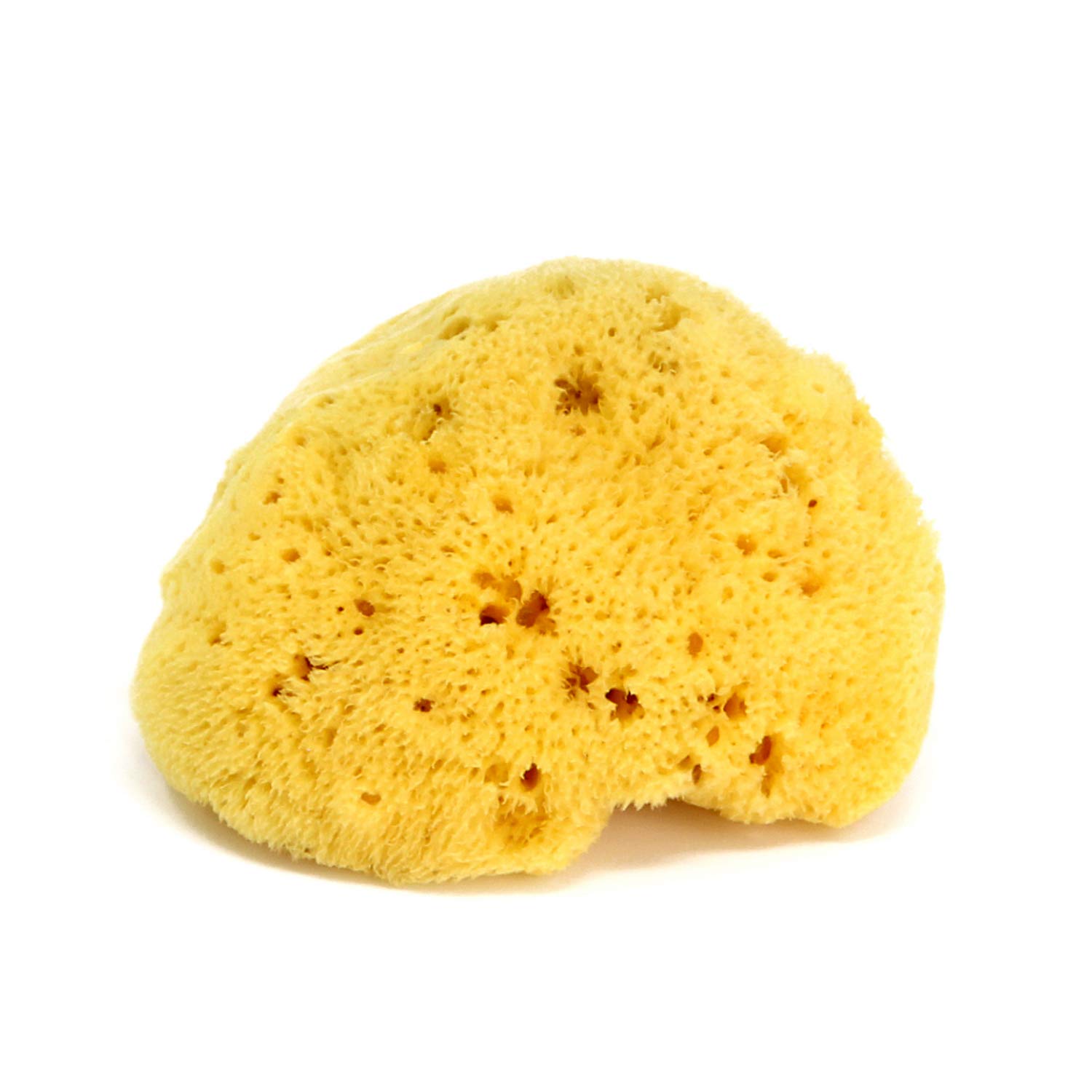 Okbaby İnce Dokulu Doğal Banyo Süngeri No.14, Büyük