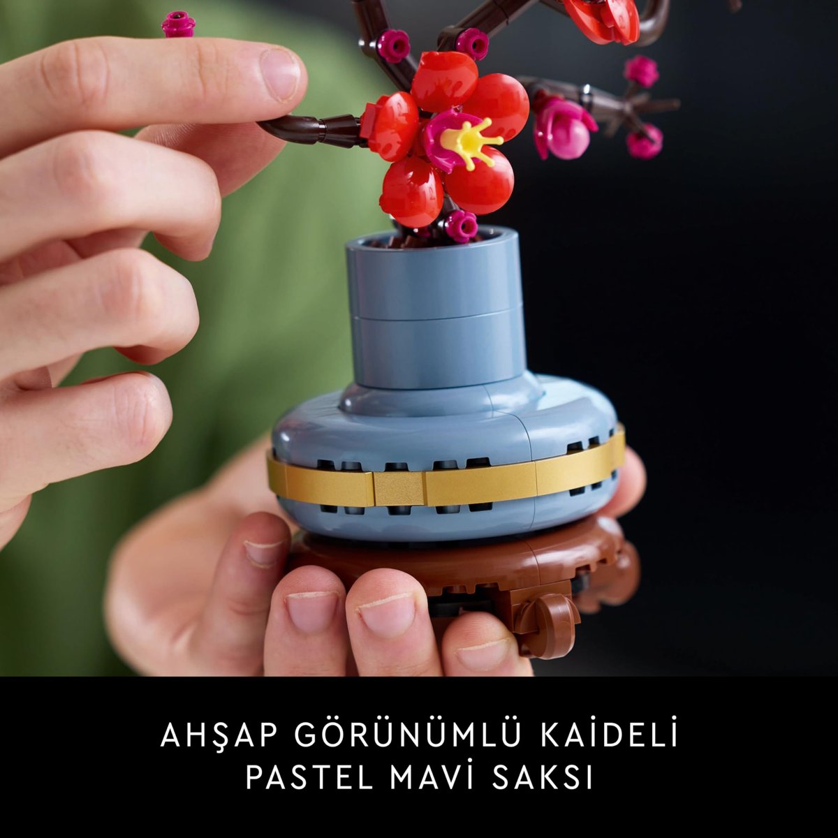 LEGO Botanicals Erik Çiçeği 10369