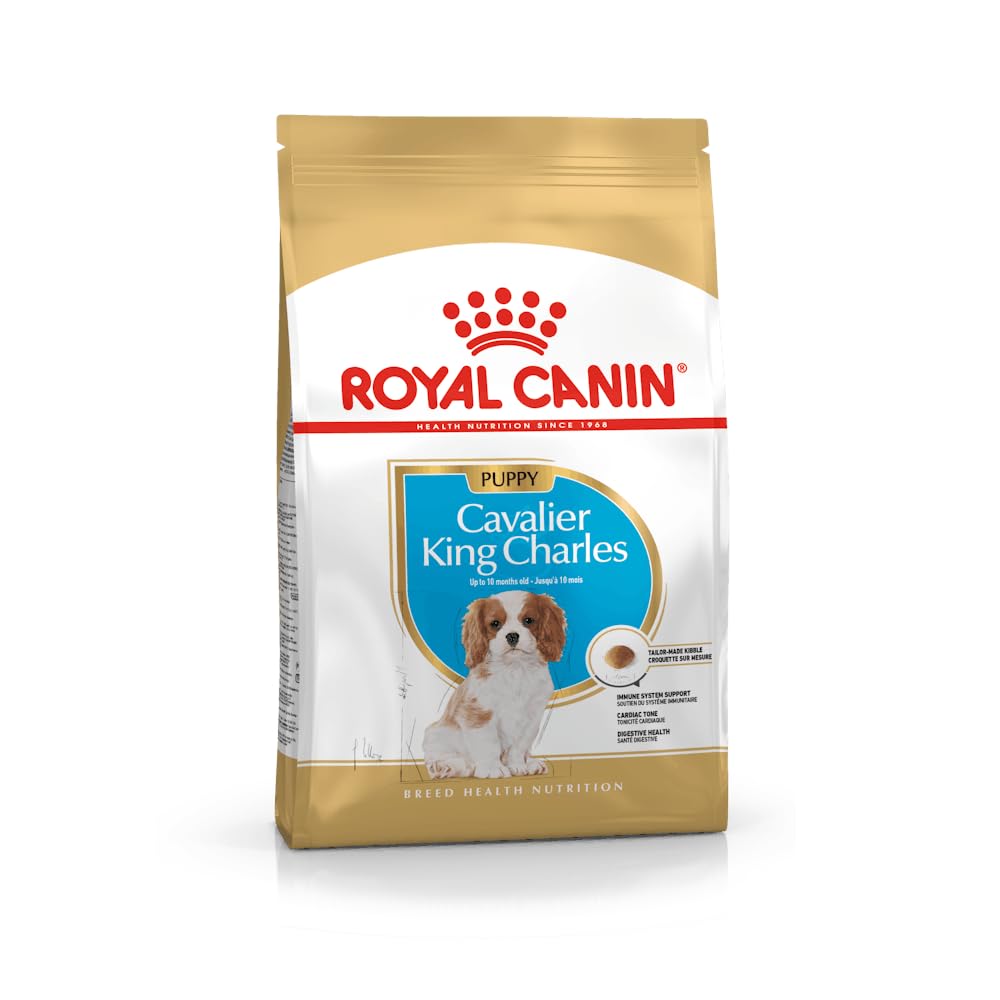 Royal Canin Cavalier King Charles Kuru Köpek Maması, Yavru Köpek, 1.5 Kg