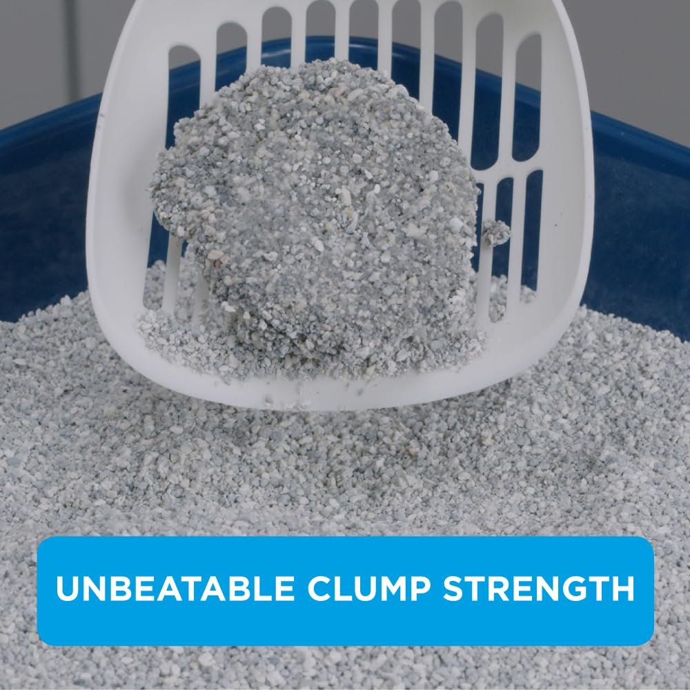Ever Clean Extra Strong Kokusuz Kedi Kumu - Tüm Yaş Grupları için 10 Lt