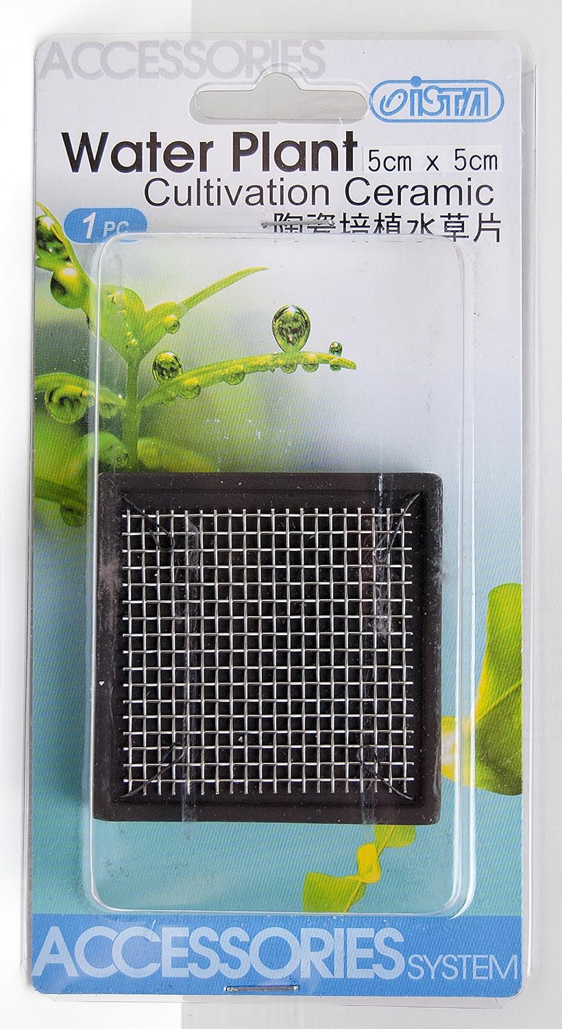 Ista Bitki Taban Seramik 5 Cm Kare