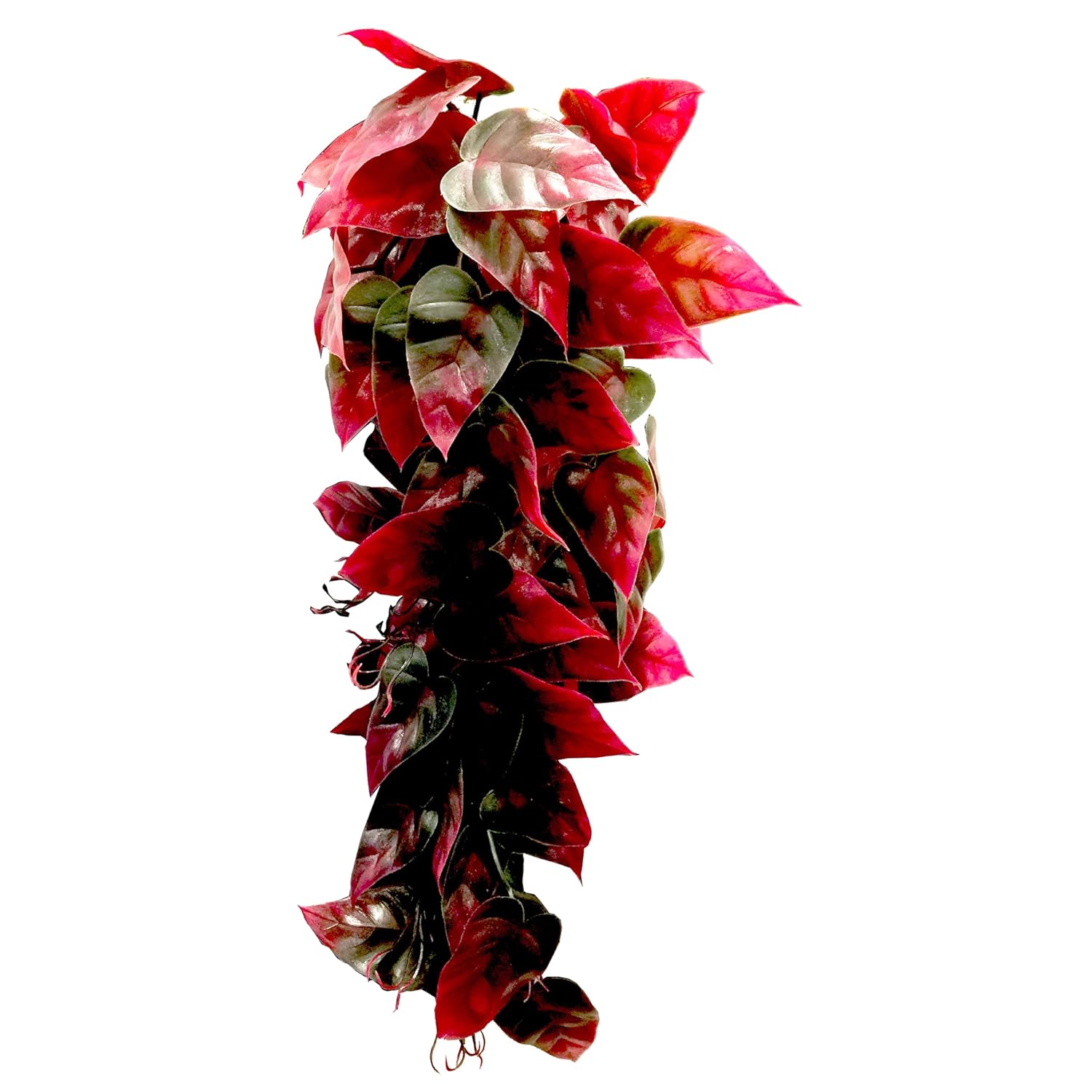 Penn-Plax Reptology sarmaşık bitkisi, sürüngen eraryum, 30,5 cm, kırmızı/yeşil