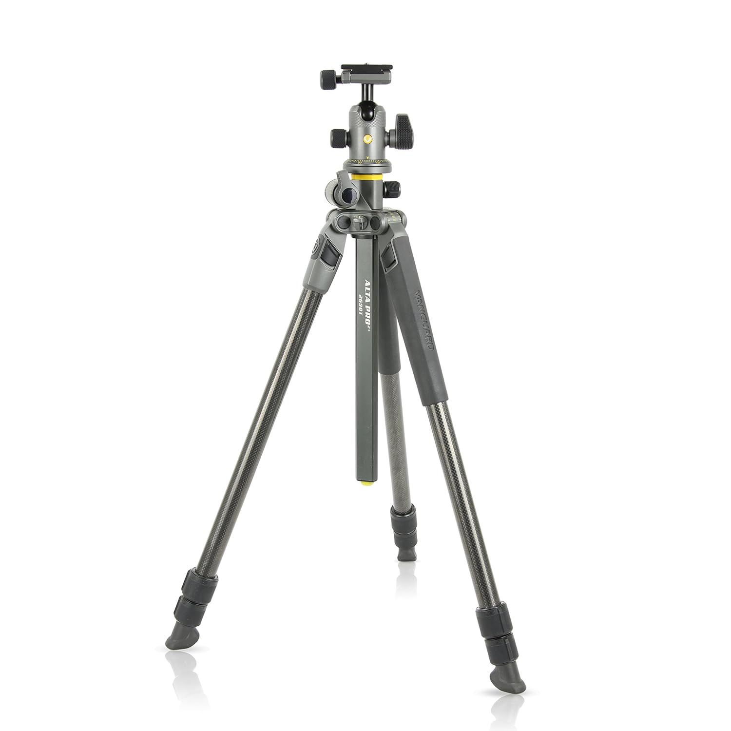 Vanguard Alta Pro 2 + 263CB 100 karbon fiber tripod, Alta BH-100 küre başlı ve çok açılı orta sütun, Sony, Nikon, Canon DSLR kameralar için