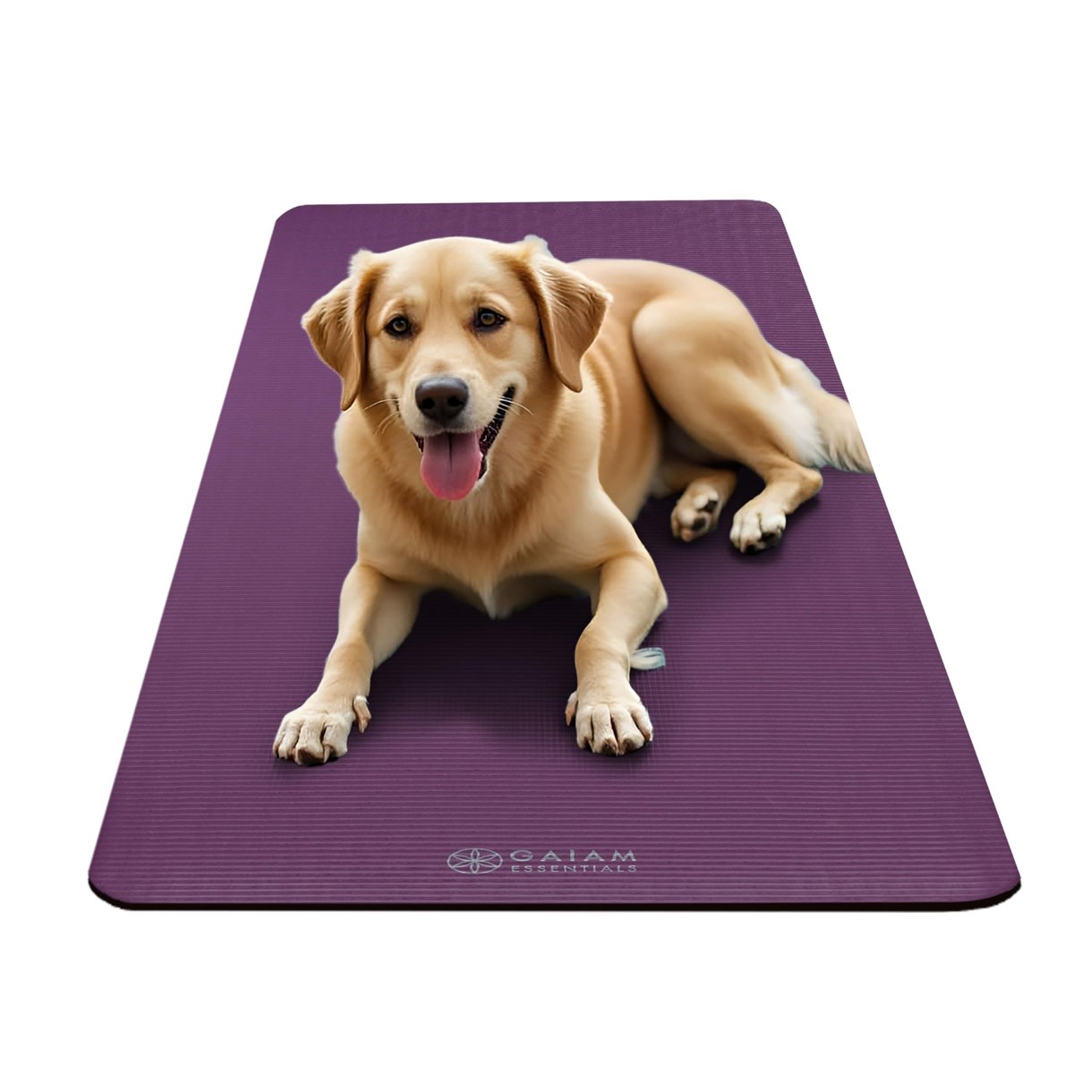 Gaiam Essentials Kalın Yoga Minderi Fitness ve Egzersiz Minderi Kolay Sıkmalı Yoga Minderi Taşıyıcı Kayış, 183 cm U x 61 cm G x 1 cm Kalınlık