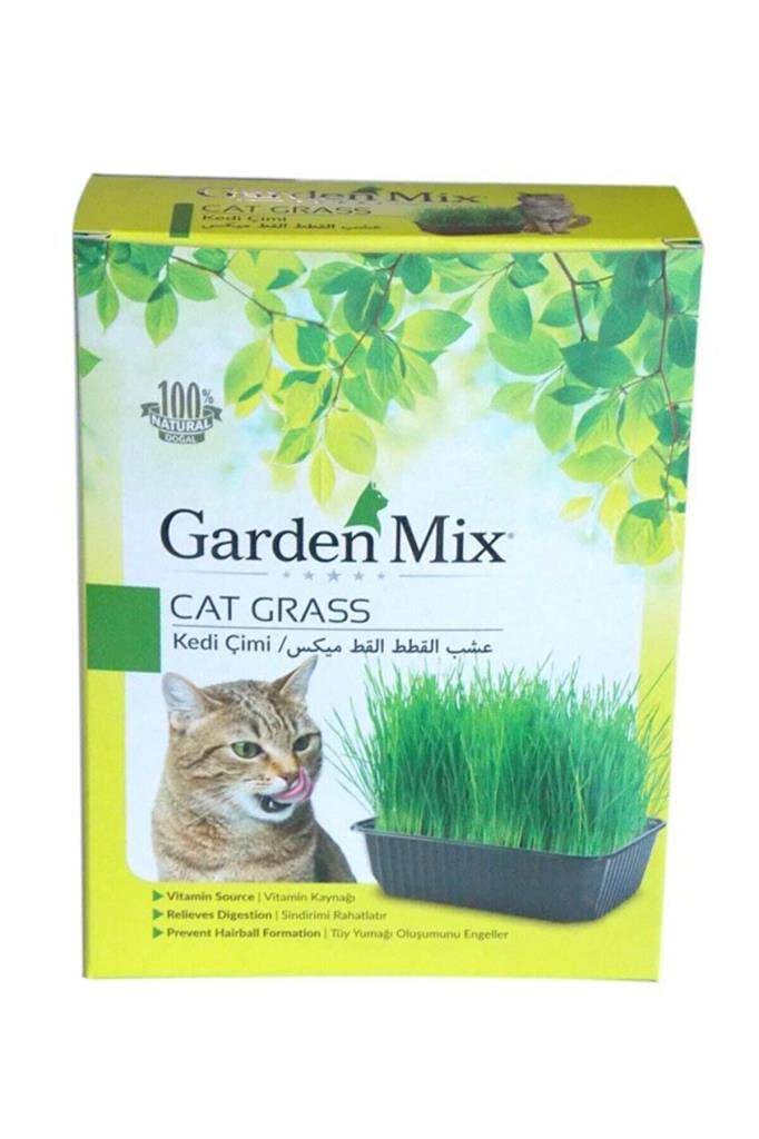Garden Mix Kutu Kedi Çimi, Kahverengi, 1