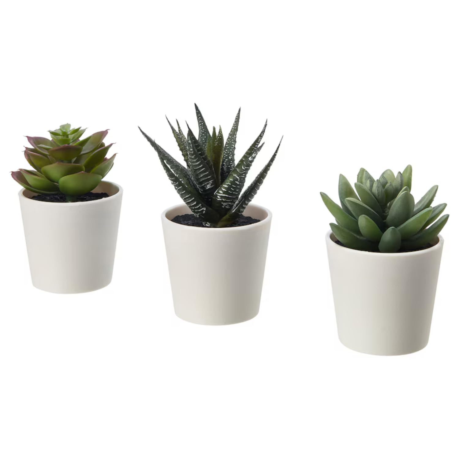 IKEA Fejka Yapay Saksı Bitkisi Saksılı İç Mekan Dış Mekan Etli / 3'lü Paket Boyutu 2 ¼ " 3'lü Paket 203.953.31