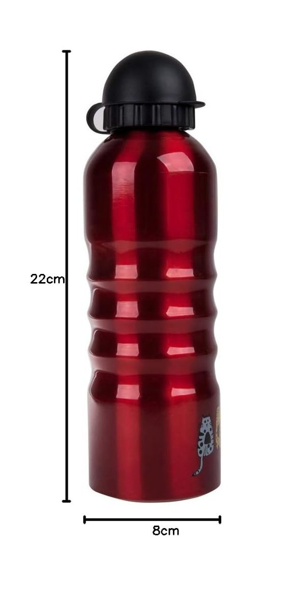 Biggdesign Cats Alüminyum Matara 700 Ml